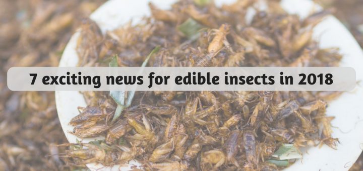 edible-insects-a-future-source-of-food-stallion-market-research