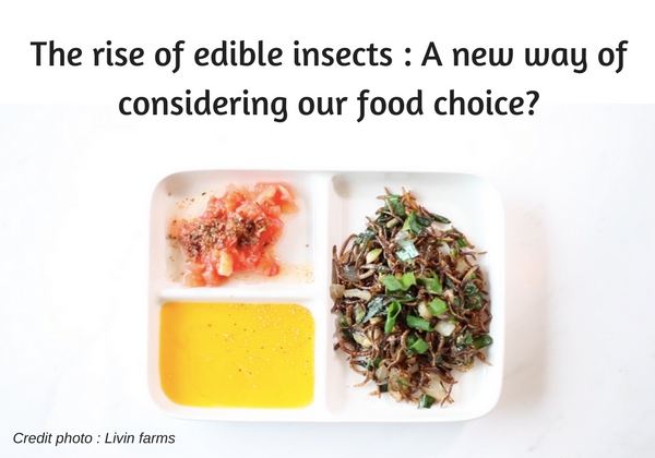 The Rise Of Edible Insects A New Way Of Considering Our Food Choice