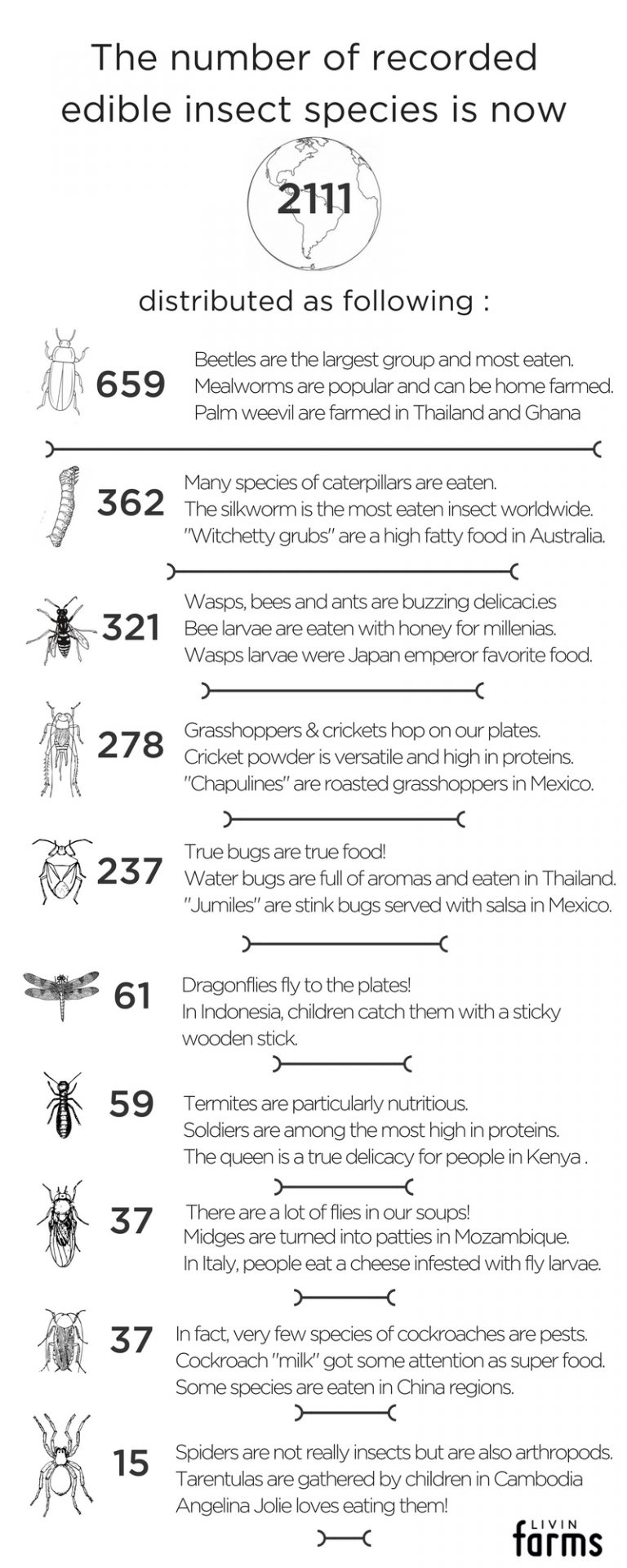 how-many-species-of-edible-insects-are-there-entomove-project